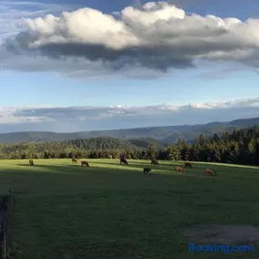 Äckerhof - Image 3