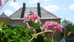 Hotel Schloss Diepenbrock - Image 2