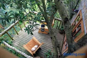 La Casa Del Árbol De Chiloé - Image 3