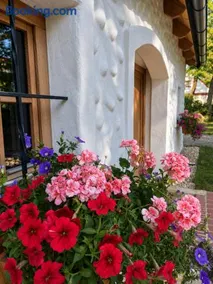 Kellerstöckl Gehringer - Image 1
