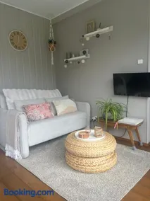 Tiny House Droom aan de Linge - Image 2