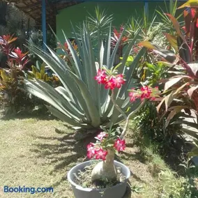 pousada Rios, ilha de Cotijuba, praia Farol - Image 5