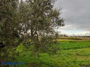 b&b DA GINO - Image 4