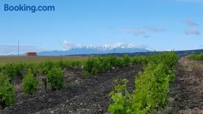DOMAINE LA TOUPIE Chambres d'hôtes - Image 2