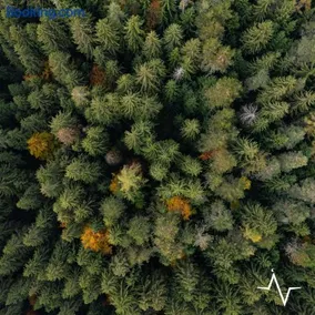 Placàt Eco Camping nel bosco - Image 1