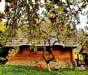 Jabłoniowa Chatka - Image 1