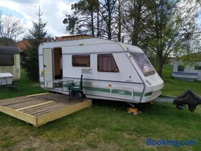 Dobromil - Camp pod kaštany - Image 1