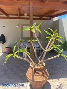 Manousos Guest House - Image 4