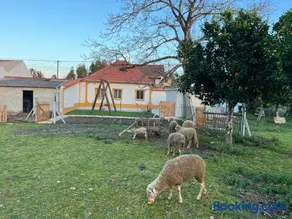 Quinta da nogueira - Image 1