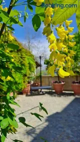 Casa Nonna Ada - Image 4