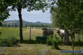 Gîte à la Ferme de la Bouriette - Image 3