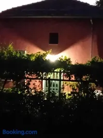 Bella di notte - Image 3