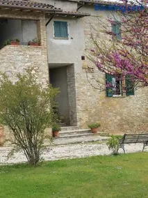 Fattoria di Rigone - Image 4