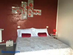 il leccio - Image 3