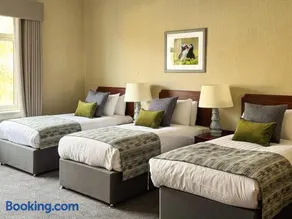 The Royal Hotel - Image 5