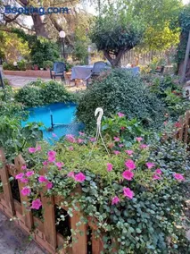 Handmade peaceful cozy house near the beach - Image 1