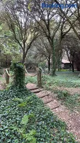 Cabaña de ensueño en el bosque y junto al mar - Image 1