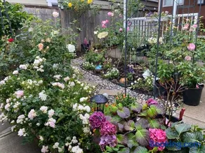 1BR Garden Suite with Parking and Private Entrance - Image 4