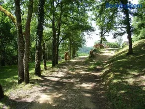 Studio aux Eyzies au coeur de la vallée de l'homme - Image 1