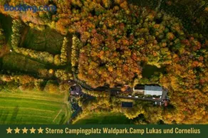 Schwedischer Shelter unter Buchen - Image 2