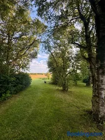 Langagergaard B&B - Thy - Image 5