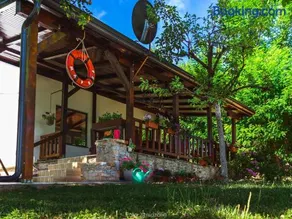 Vila Marina Na Obali Dunava - Image 1