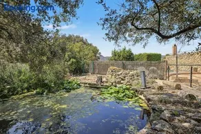 Caseta Curto - Image 4