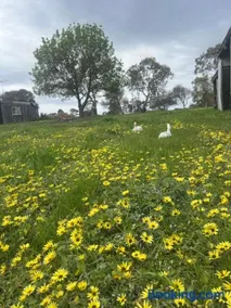 Campaspe Valley View 20 Acres Farm Stay - Image 5