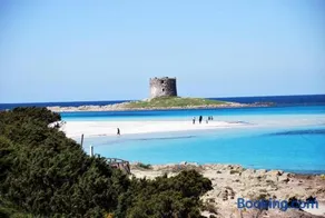 A.Mare - Image 5