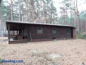 Ferienhaus Waldhütte Ferch - Image 2