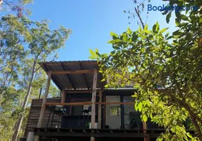 Tiny in the Trees - Image 2