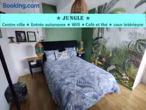 Appartement T2 "JUNGLE" Centre Ville de VITRÉ au calme coté cour - Image 1