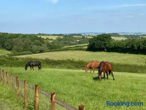 Glebe Barn, Little Glebe Farm - Image 1