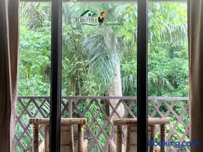 Birding Cottage Tangkoko - Image 2