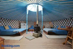 Glamping Yurts near Newquay - Image 2