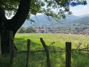 Zubitarte - Image 5