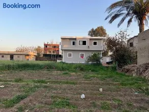 Mohammed's hostle - Image 5