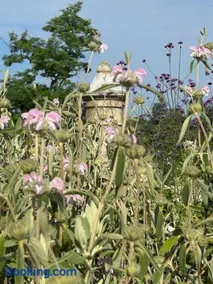 Château LA ROBERTERIE logement entier proche Saint Emilion - Image 2