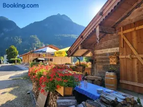 Nickis Bergcamp - Image 3