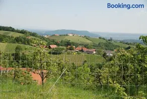 Weinberg-Panorama- Campingplatz - Image 4