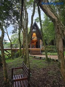 Cabana Bordô - Privacidade e Natureza na Serra Gaúcha - Image 5