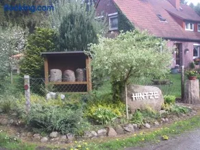 Hintze - Image 2