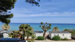 Alannia Costa Dorada - Image 2