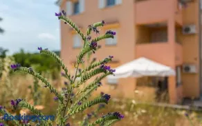 Apartman 47 - Image 2