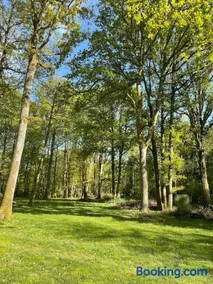 Cabane en forêt - Image 3