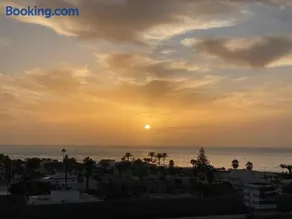Flamingo Palm-Mar - Image 3