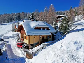 Almhaus Pleschinhof - Image 4