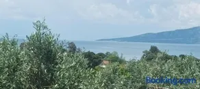 Olive Horizon Villa - Image 2