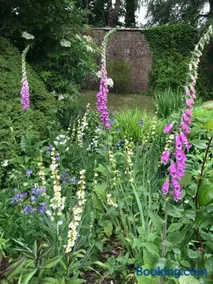 The Potting Shed - Image 3