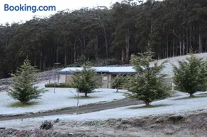 Cherryview Cygnet - Image 5